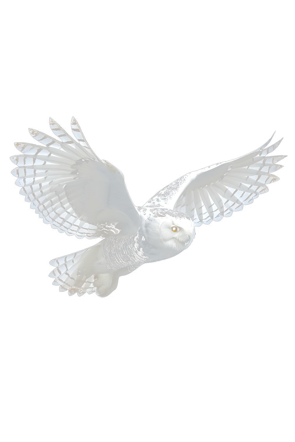 A snowy owl in flight — the wisdom that arrives when the idea arrives